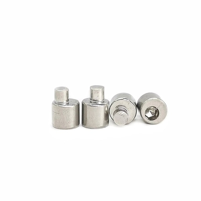 Não padrão Hexagonal excêntrico prego 304 aço inoxidável sólido cabeça plana redonda passo conector de fixação rivet