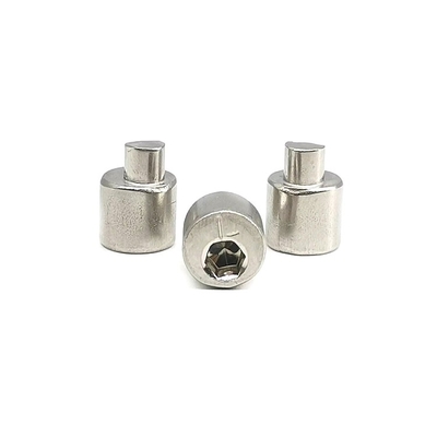 O parafuso traseiro 4.9X10.5 de Axle Eccentric Adjusting Stainless Steel lustrou SUS304