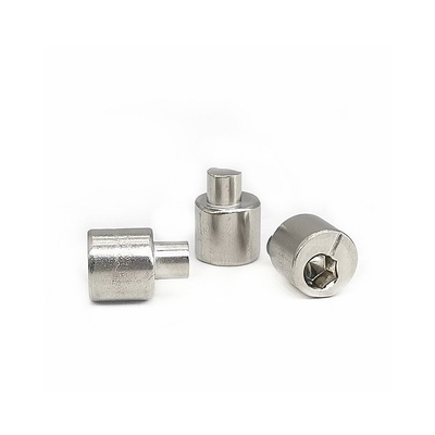 O parafuso traseiro 4.9X10.5 de Axle Eccentric Adjusting Stainless Steel lustrou SUS304