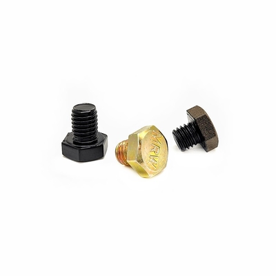 Aço inoxidável Exterior parafuso hexagonal parafuso de dente completo revestido com decoração de zinco colorido