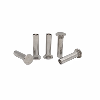 Não-padrão customizado cabeça plana rivet semiholo rivet de aço inoxidável com flores dentadas com várias especificações.