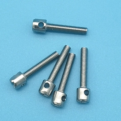 M3 M4 M5 Parafuso de vedação de chumbo galvanizado Parafusos medidores Parafuso de tampa Parafusos perfurados 10mm-40mm Comprimento