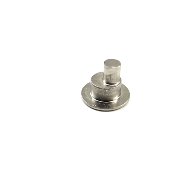 Passivation SS316 padrão nacional excêntrico do parafuso A2-70 para dobradiça quebrada da janela da ponte