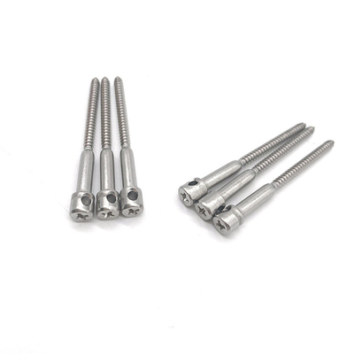 Parafusos de vedação de chumbo M4 Parafuso de medidor elétrico Parafusos de mesa de vedação de prego com furo Parafuso de aço inoxidável 8mm-50mm Comprimento - (M4x45mm