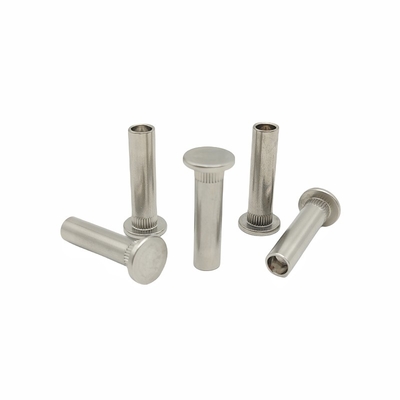 Processamento da marca da coroa de aço inoxidável personalizado Rivet de flores dentadas Rivet semi-cavado Parte de forma especial não padrão