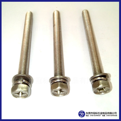 200mm encantam o material longo extra DIN571 DIN964 dos parafusos de máquina SS302
