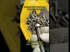 De aço inoxidável encantar os parafusos da flange