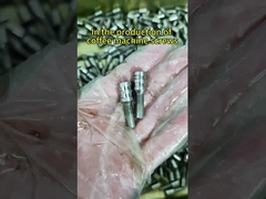 Parafusos perfurados de Phillips eletrogalvanizados em recessos parafusos de medidor parafusos de vedação de chumbo