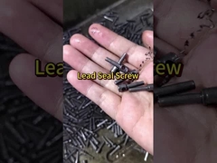 Segura e confiável! Produtor líder de parafusos de vedação de medidores elétricos e fixações #customfasteners