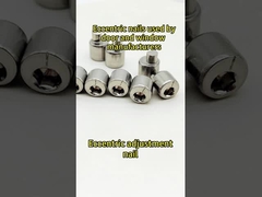 Passivation SS316 padrão nacional excêntrico do parafuso A2-70 para dobradiça quebrada da janela da ponte