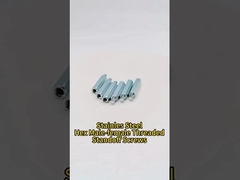 Aço inoxidável Hex Homem-mulher em fileira